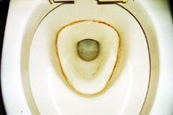 ハウスクリーニング トイレおそうじの写真